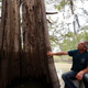 Thousand-year-old trees in the Atchafalaya Basin are being cut in the name of crude oil.